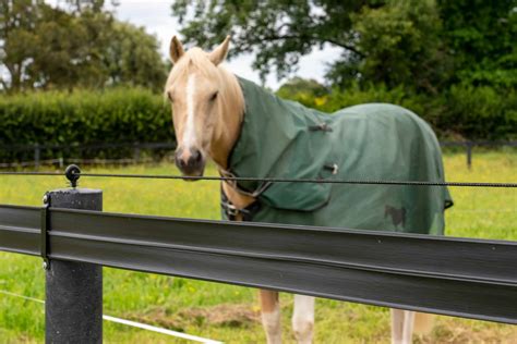 electric fencing for horses